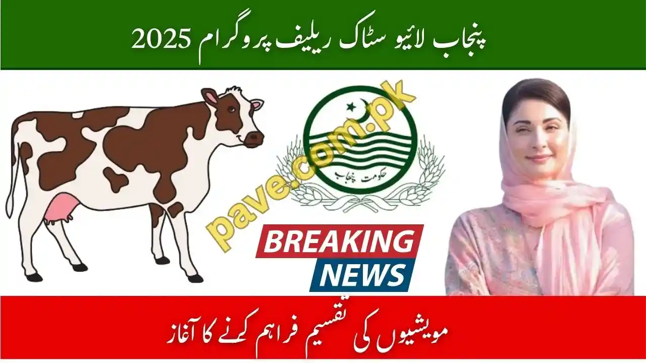 Punjab Livestock Relief Program 2025 Latest Breaking News 1 Punjab Livestock Relief Program 2025