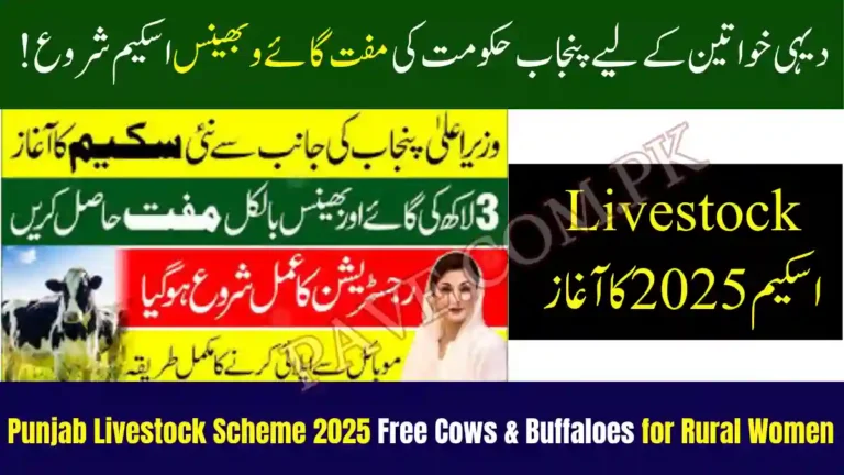 Punjab Livestock Scheme 2025 Free Cows & Buffaloes for Rural Women