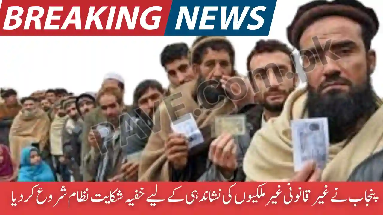 Punjab Introduces Whistleblower System Against Illegal Foreigners 1 Punjab Whistleblower System