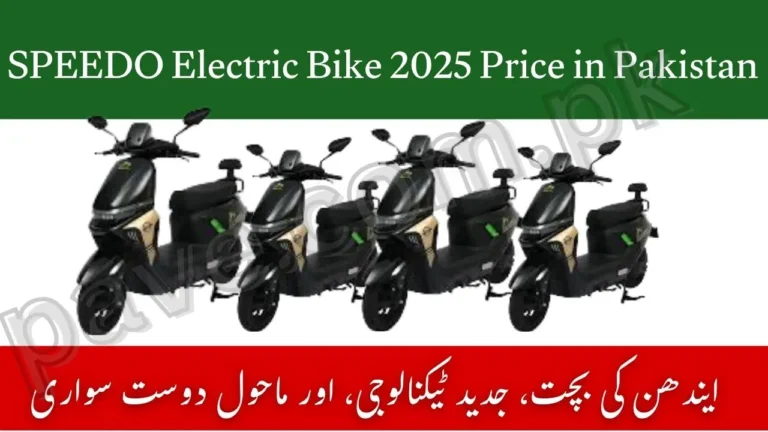 SPEEDO Electric Bike 2025 Price in Pakistan – Full Specs, Features & Honest Review 5 SPEEDO Electric Bike 2025 Price in Pakistan