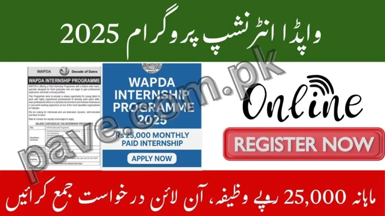 WAPDA Internship Programme 2025