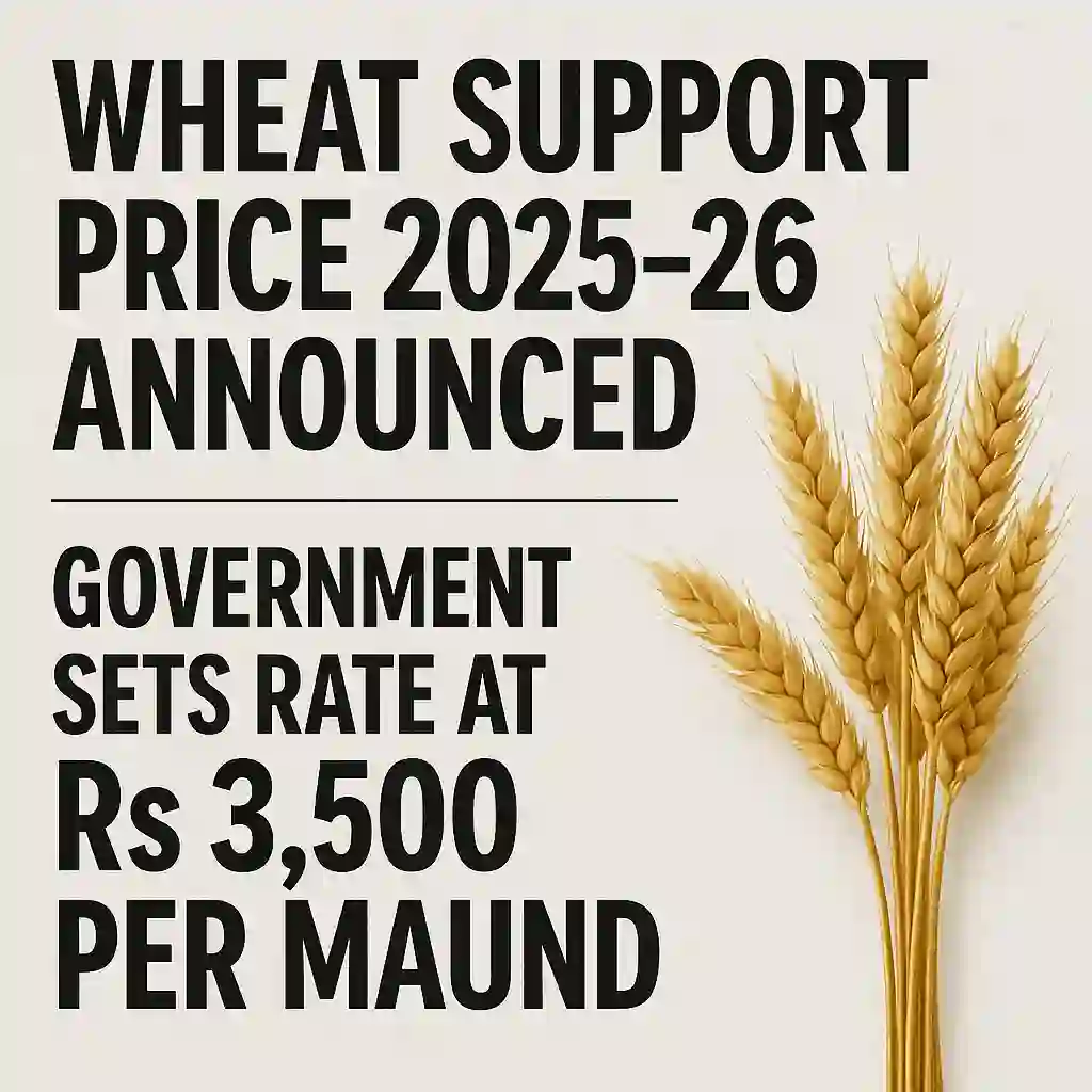 Wheat Support Price 2025–26 Announced: Government Sets Rate at Rs 3,500 per Maund 1 Wheat Support Price 2025–26 Announced