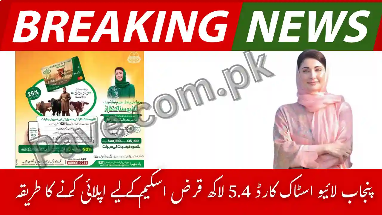 Who Is Eligible for Punjab Livestock Card Phase 2