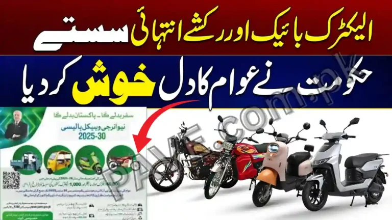 Government of Pakistan Provides 41,000 Subsidized EV Bikes and Rickshaws 10 Government of Pakistan Provides 41,000 Subsidized EV Bikes and Rickshaws