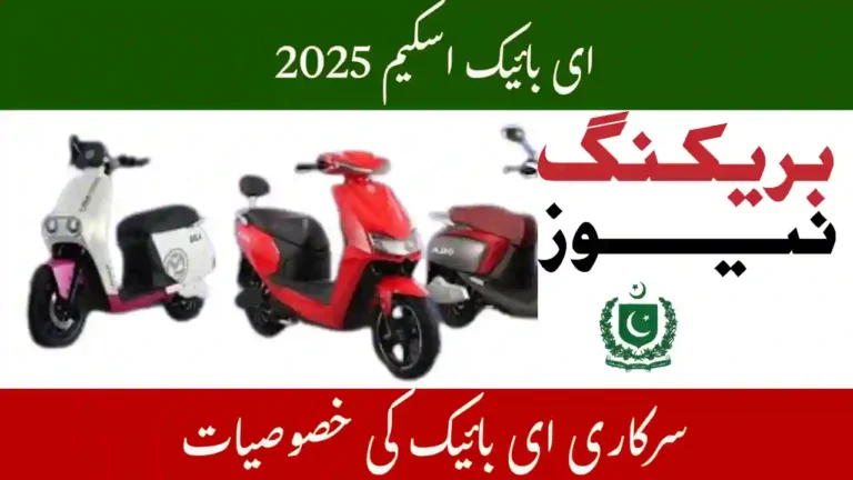 E-Bike Scheme 2025