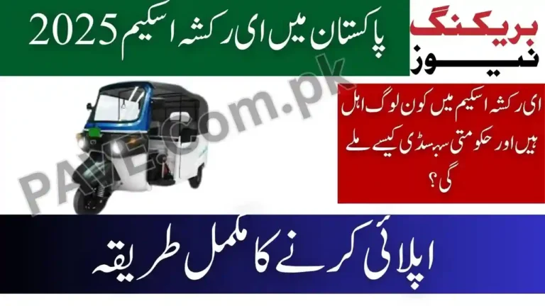 E-Rickshaw Scheme in Pakistan: Who Qualifies, When Delivery Starts, and How to Apply 3 E-Rickshaw Scheme in Pakistan