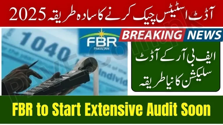 FBR Extensive Audit 2025 Check Details