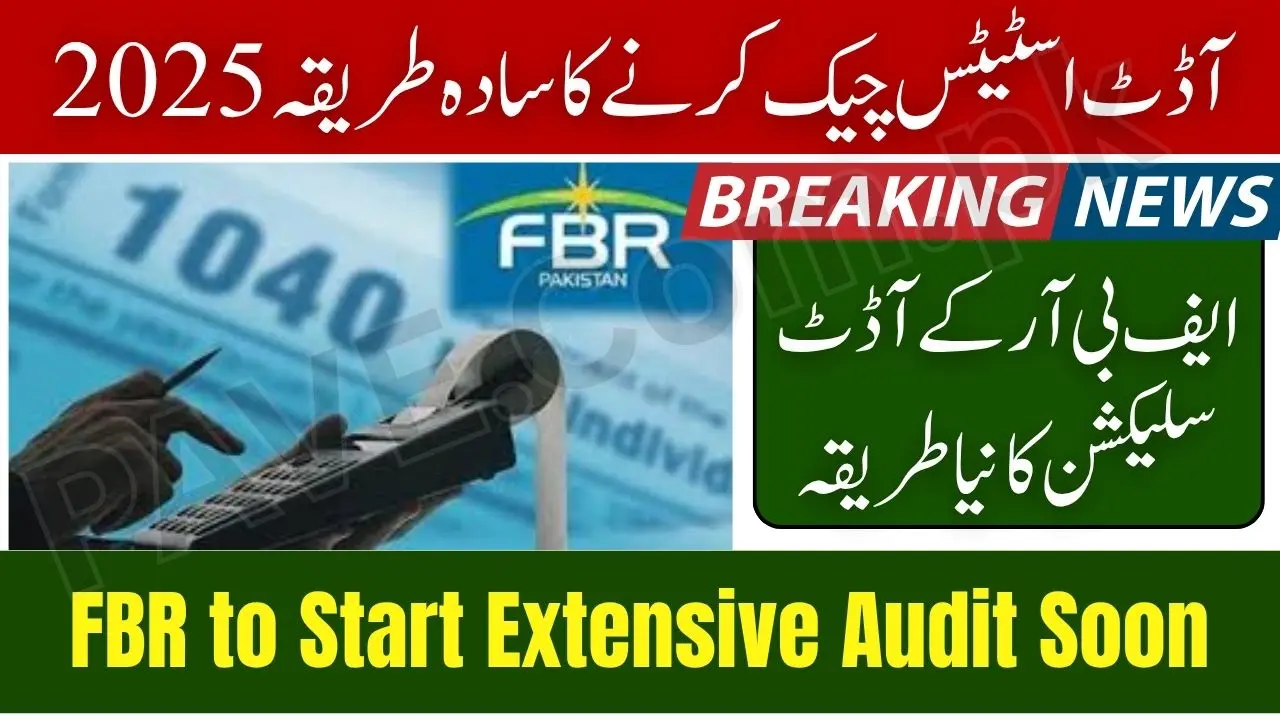 FBR Extensive Audit 2025 Check Details