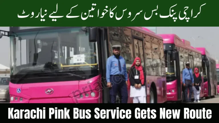 Karachi Pink Bus Service