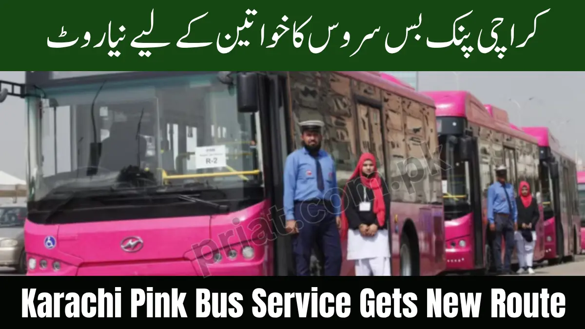 Karachi Pink Bus Service