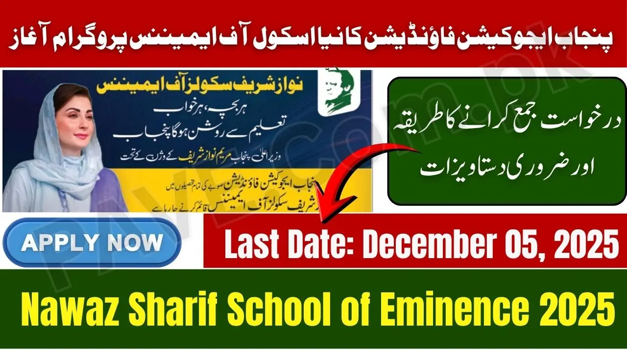 Punjab Opens Applications for Nawaz Sharif Schools of Eminence Program 2025 1 Nawaz Sharif Schools of Excellence Program 2025
