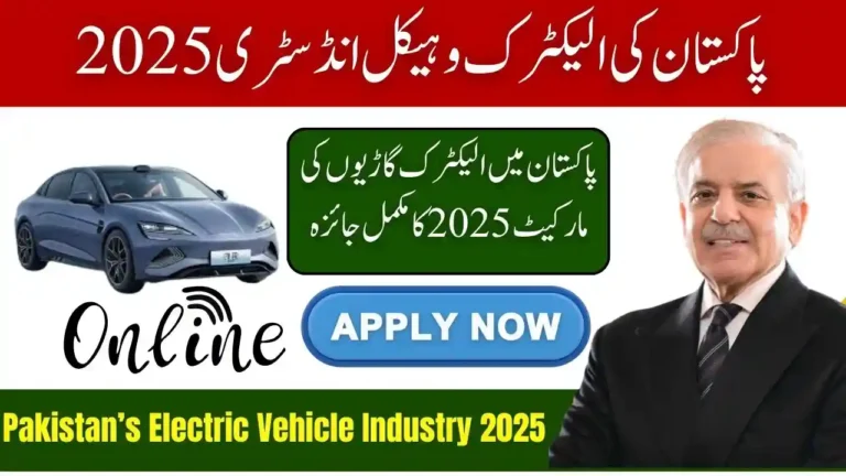 Pakistan Electric Vehicle Industry 2025 Growth
