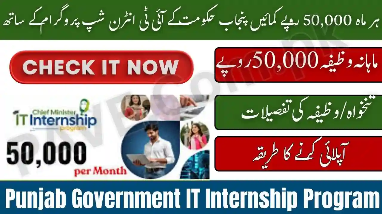 Punjab Government IT Internship