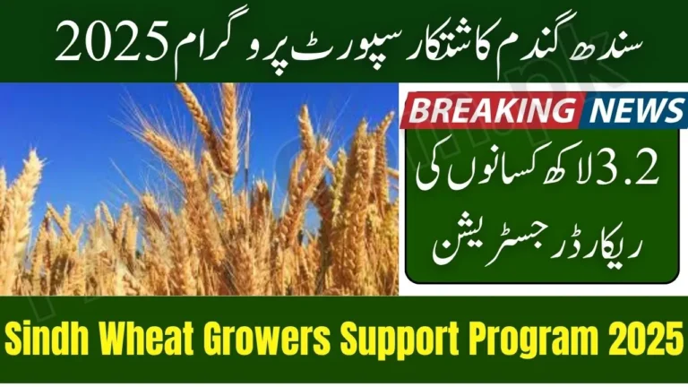 Sindh Wheat Growers Support Program 2025