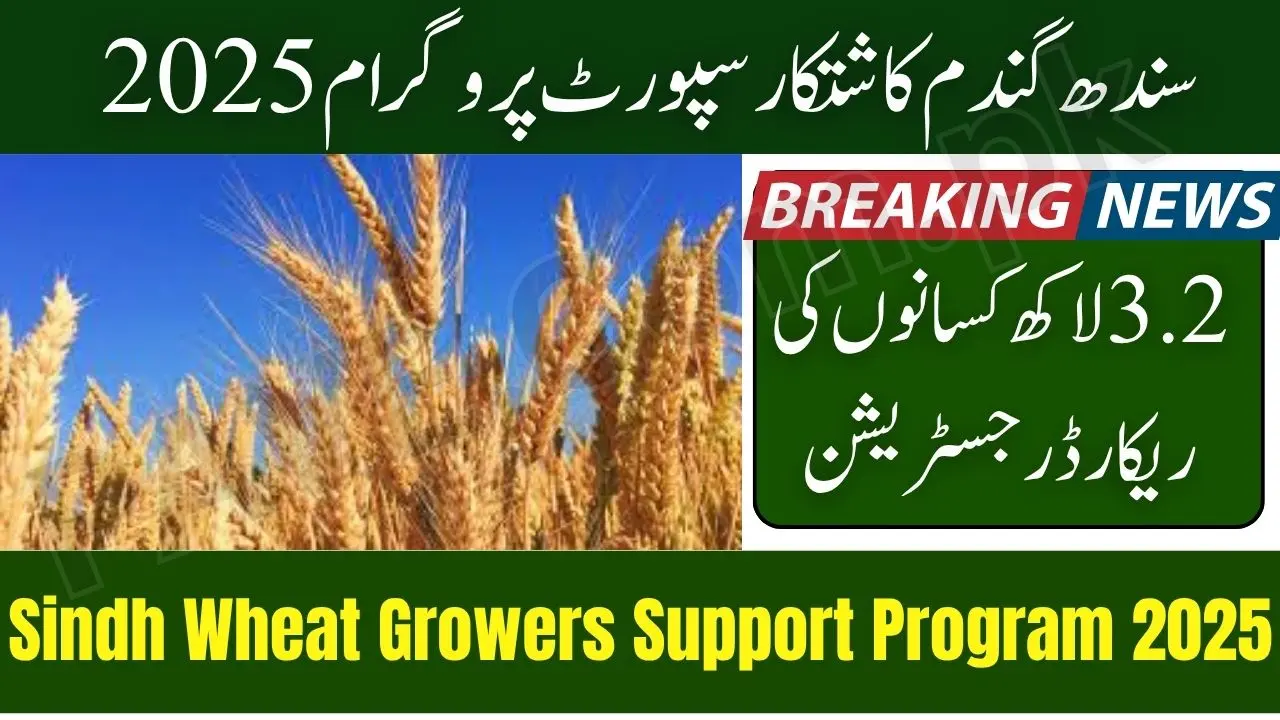 Sindh Wheat Growers Support Program 2025