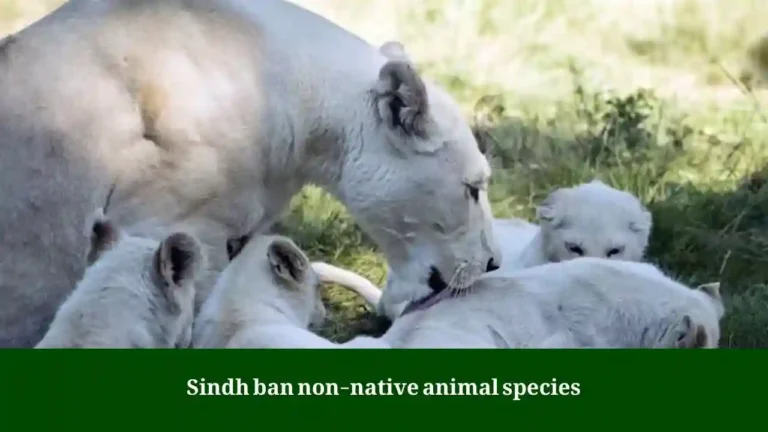 Sindh ban non-native animal species