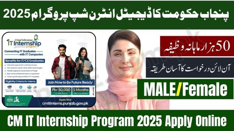 cmitinterns.punjab.gov.pk IT Internship 2025 Apply Online
