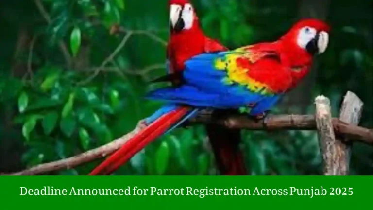 Deadline Announced for Parrot Registration Across Punjab 2025 1 parrot registration Punjab 2025