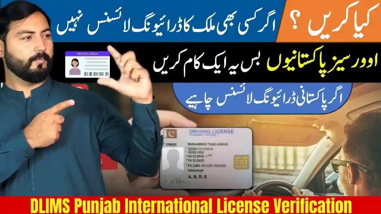 DLIMS Punjab International License Verification
