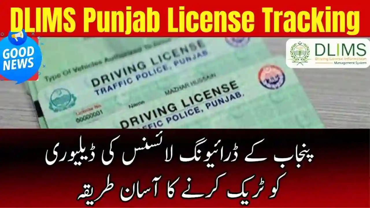 DLIMS Punjab License Tracking