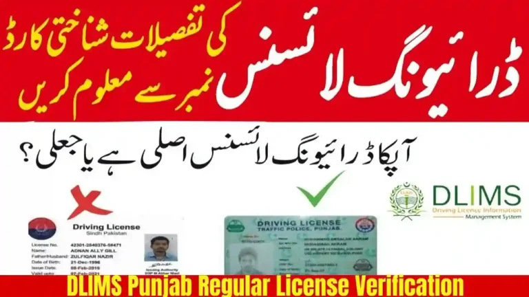 DLIMS Punjab Regular License Verification