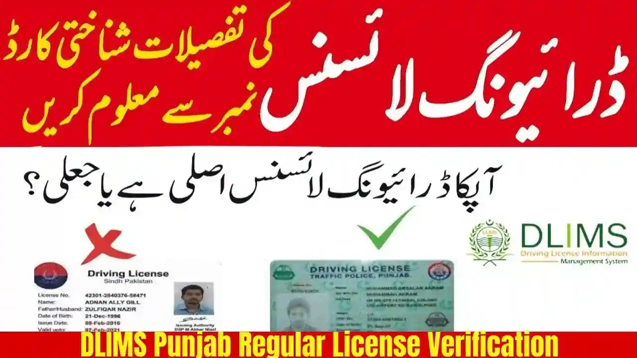 DLIMS Punjab Regular License Verification