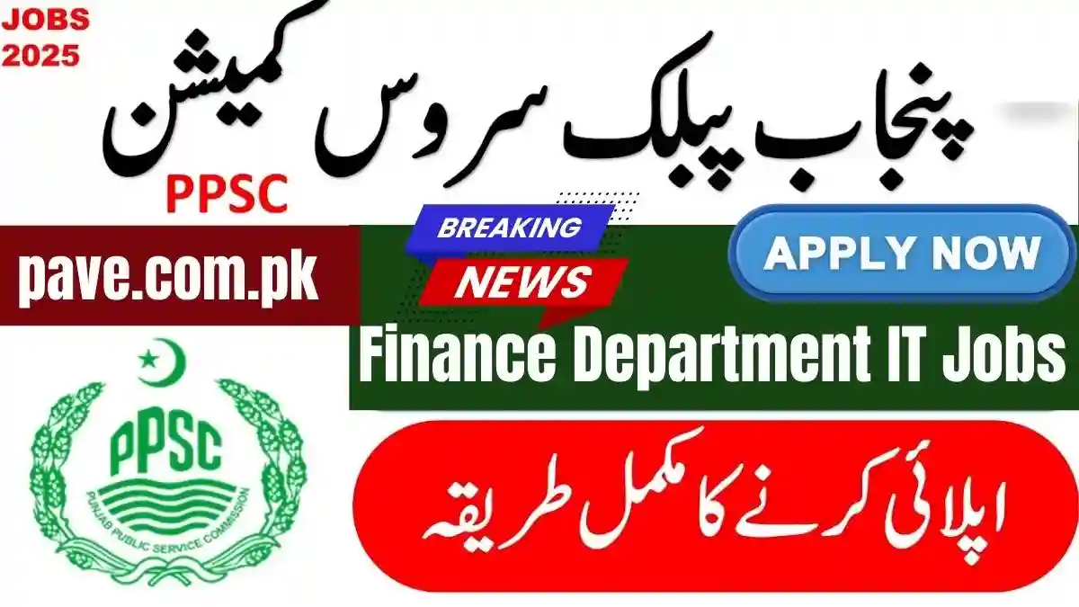 Finance Department IT Jobs