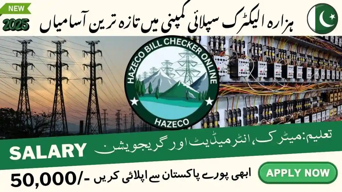 HAZECO Assistant Manager Jobs 2025 Online Apply