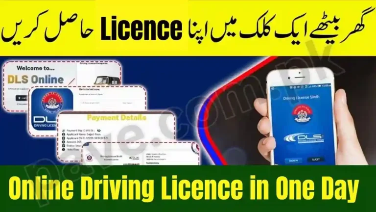 How to Get Online Driving Licence in One Day
