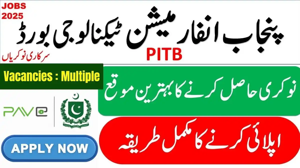 PITB Announces New Vacancies Across Punjab Online Apply