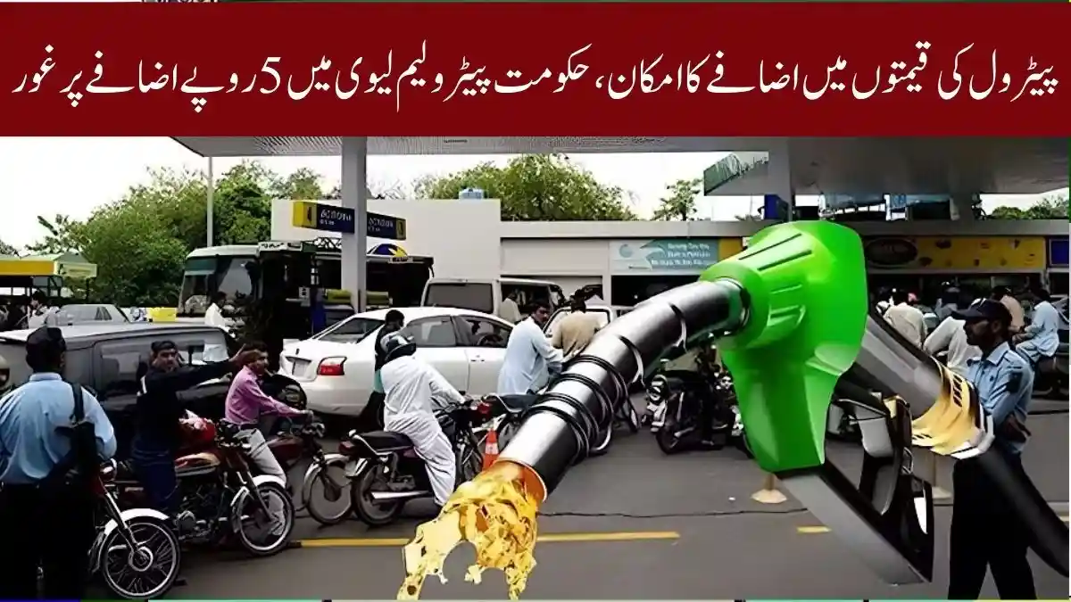 Petrol Prices Likely to Rise Petroleum Levy Hike December Update