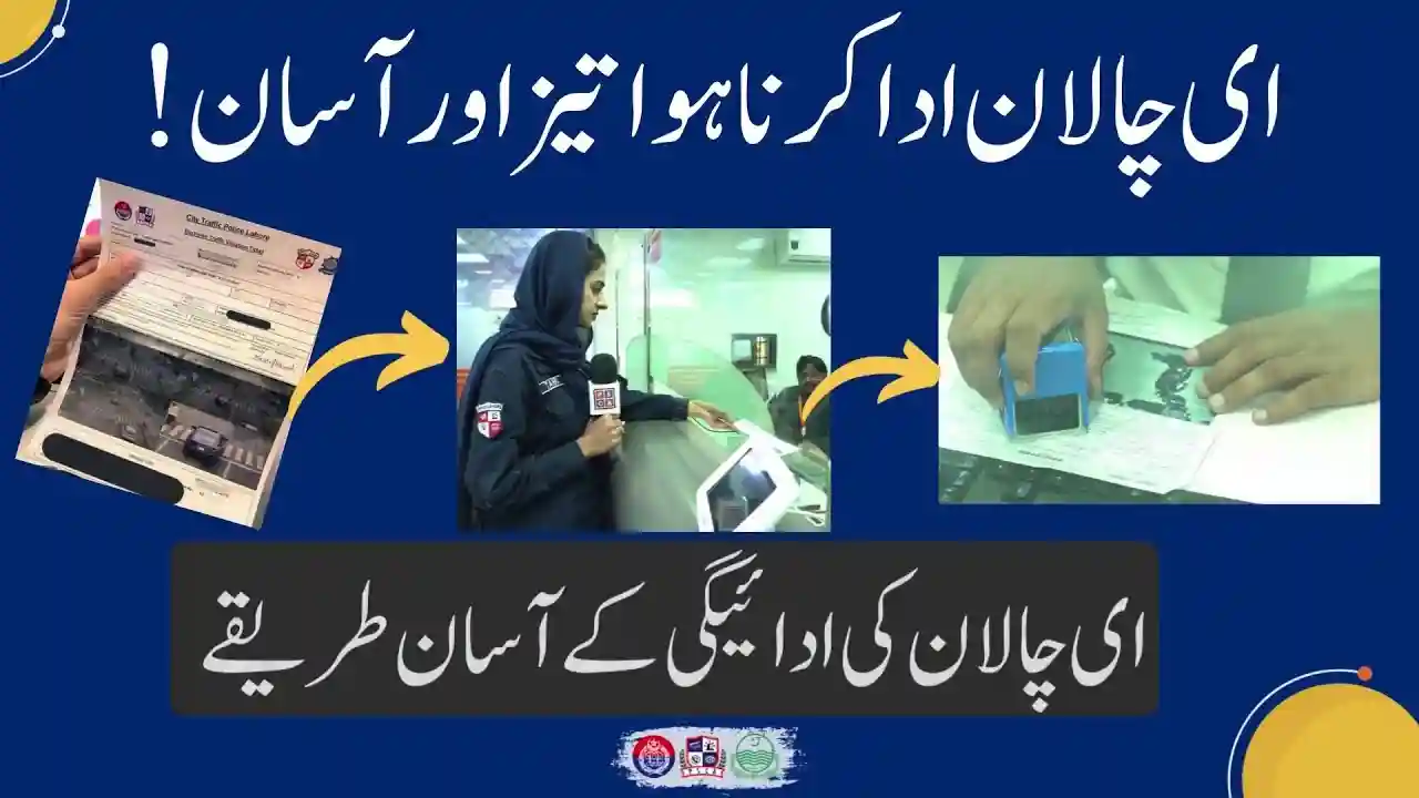 Punjab Traffic E-Challan Payments Simplified – Updated NBP Branch Locations to Submit Your Fine Easily