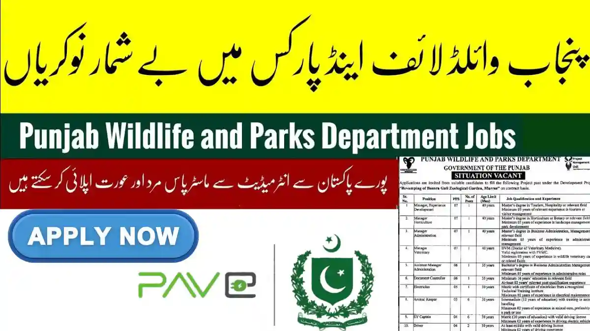 Punjab Wildlife & Parks Department Jobs 2026 – Bansra Gali Zoo Murree Project Vacancies 1 Punjab Wildlife & Parks Department Jobs 2026