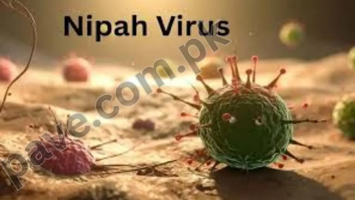 Is Nipah Virus News Real or Fake | Explore if Nipah Virus Is Dangerous