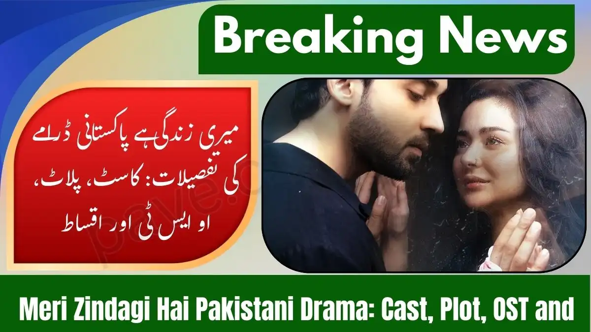 Meri Zindagi Hai Pakistani Drama – Full Cast, Story, OST & Episode Details