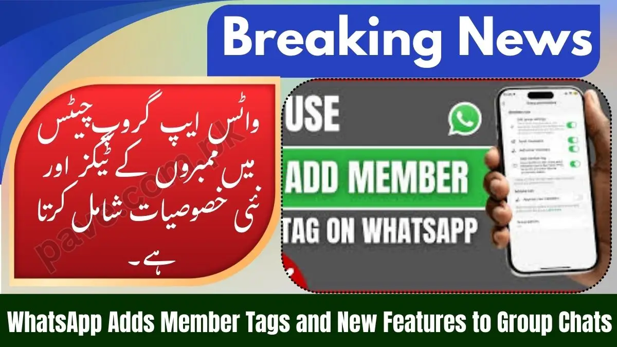 WhatsApp Adds Member Tags and New Features to Group Chats 1 WhatsApp Adds Member Tags and New Features to Group Chats