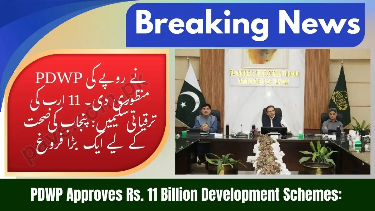 PDWP Approves Rs. 11bn Projects for Punjab (2026)