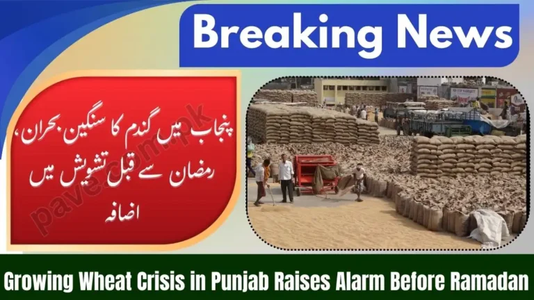 Growing Wheat Crisis in Punjab Raises Alarm Before Ramadan