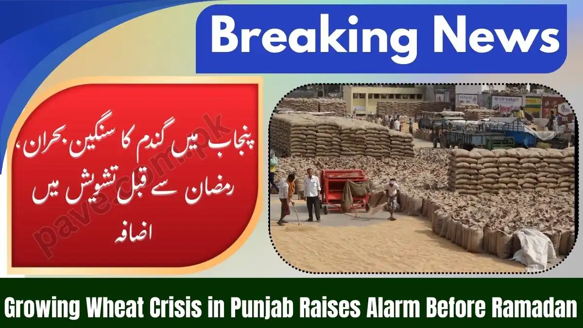 Growing Wheat Crisis in Punjab Raises Alarm Before Ramadan