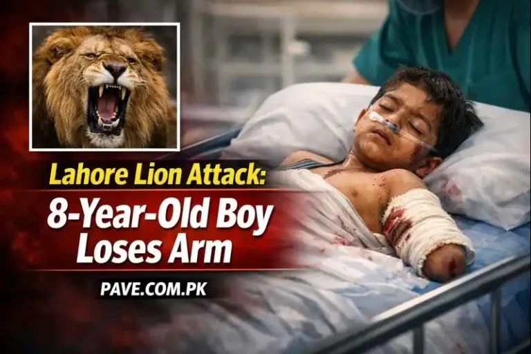 Lahore Lion Attack: 8-Year-Old Boy Loses Arm