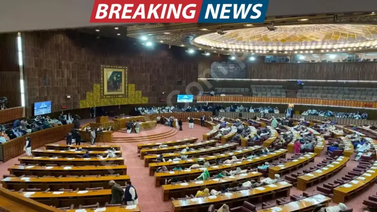 Parliamentary Committee Proposes 10 Hajj Nominations for Each MNA 2026