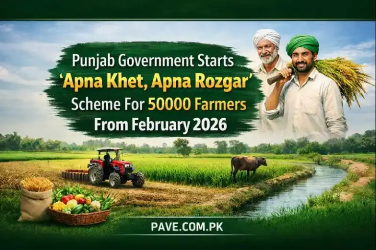 Punjab Government Starts “Apna Khet, Apna Rozgar” Scheme For 50000 Farmers From February 2026
