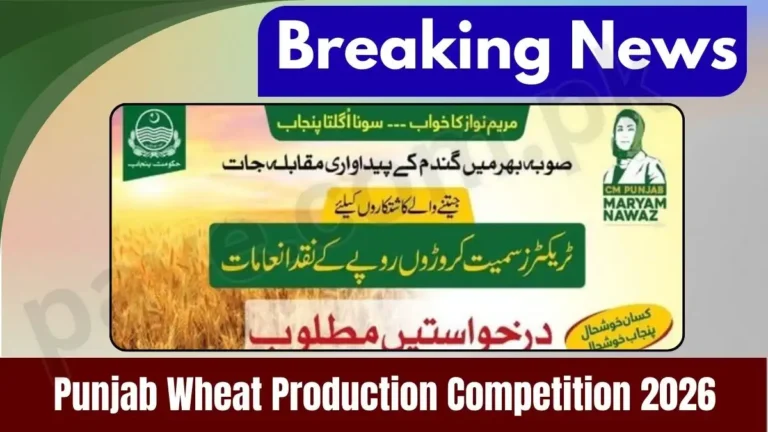 Punjab Govt Announces Wheat Production Competition 2026