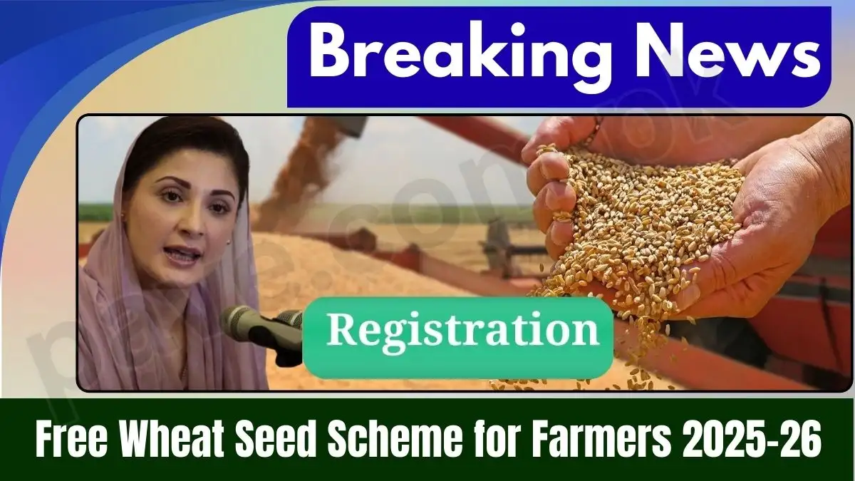 Punjab Govt Launches Free Wheat Seed Scheme for Farmers 2025–26 1 Punjab Govt Launches Free Wheat Seed Scheme for Farmers 2025–26