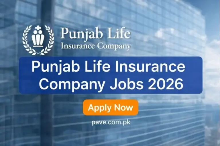Punjab Life Insurance Company Jobs 2026