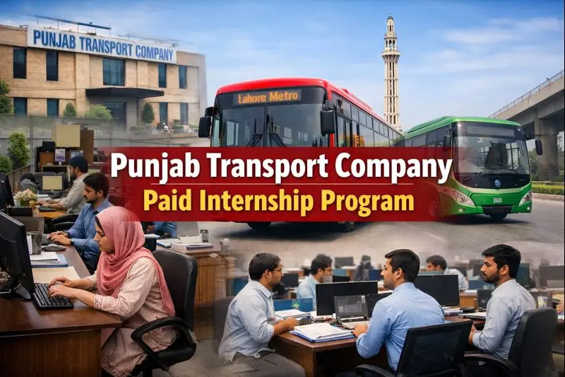 Punjab Transport Company Offers Paid Internships With Rs 50,000 Monthly Stipend