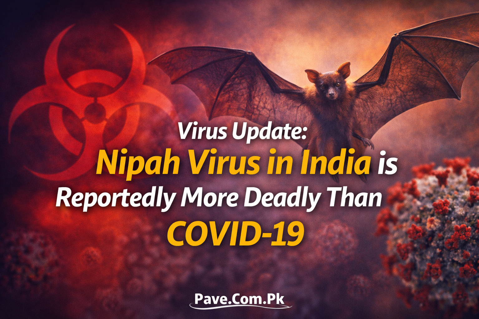 Virus Update Nipah Virus in India is Reportedly More Deadly Than COVID 19