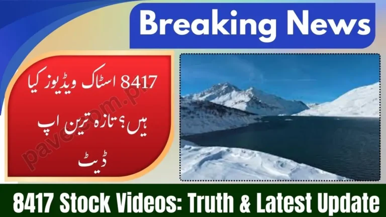 What Is There in 8417 Stock Videos and Footage Latest Update