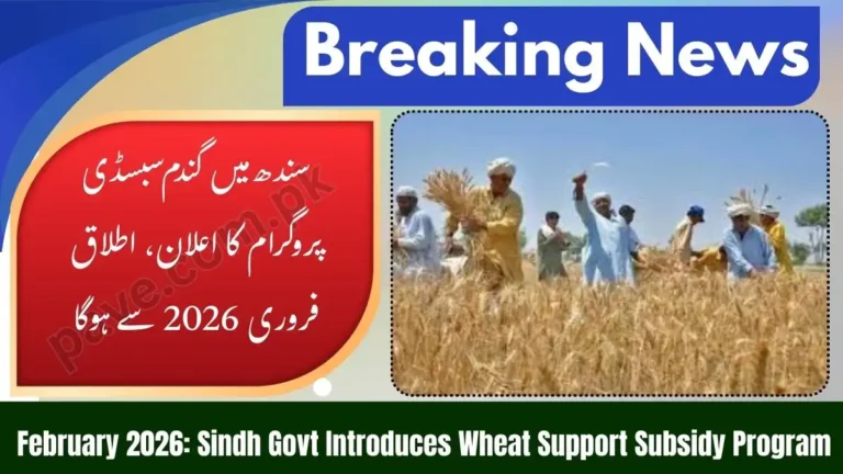 Govt of Sindh Announces Wheat Support Subsidy Program February 2026