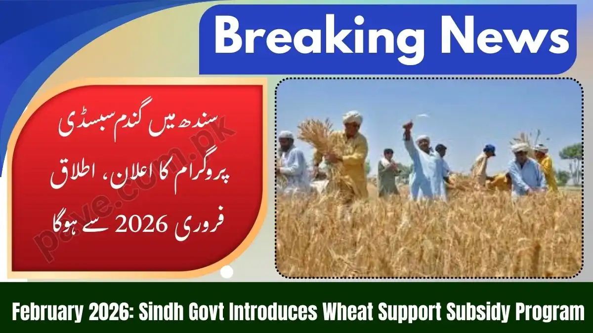 Govt of Sindh Announces Wheat Support Subsidy Program February 2026 1 Govt of Sindh Announces Wheat Support Subsidy Program February 2026